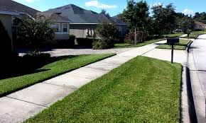We offer landscaping services and other property premier lawn care has a team of experts who are highly skilled and trained in all aspects of the green industry. Apopka Lawn Services Mowing Landscaping