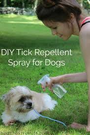 I would omit that from the recipe. Natural Diy Tick Repellent Spray For Dogs Just 3 Ingredients Tick Repellent Dog Spray Tick Repellent For Dogs