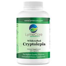 Image result for Cryptolepis