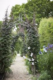 Garden Visit Sarah Raven S Perch Hill Gardenista In 2020 Garden Visits Clematis Montana Magical Garden