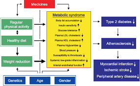 Physical Activity In The Etiology Of The Metabolic Syndrome Type 2 Download Scientific Diagram