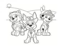 Coloriage Pat Patrouille 30 Dessins A Imprimer Gratuitement Coloriage Pat Patrouille Dessin Pat Patrouille Coloriage