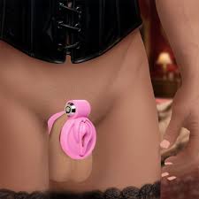 Male Pussification Vulva Chastity Cage with 5 Cock Rings & 2 Keys