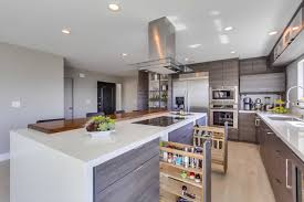 Here's what it looks like closed, and here's a gif of it in. Rubbermaid Pull Down Spice Rack Houzz