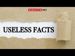Use it or lose it they say, and that is certainly true when it. 100 Useless Facts That Are Surprisingly True Facts Net