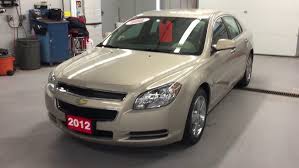 Image result for Gold Mist 2012 Terrain