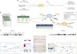 A Systems Biology Approach Uncovers Cell Specific Gene