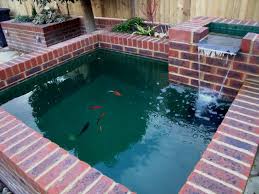 Photo Gallery Blooming Plantersblooming Planters