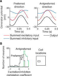 It also uses an led & piezo buzzer to alert you whenever motion is detected. A Model For The Origin Of Motion Direction Selectivity In Visual Cortex Journal Of Neuroscience