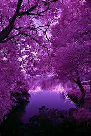 Posted by sara at 1:42 am. 87 Purple Trees Ideas Beautiful Nature Purple Trees Beautiful Tree