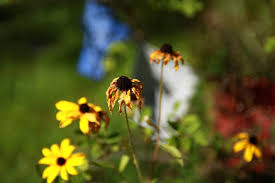 Barnard offers students the wide course selection of a large university and extensive resources of a major metropolitan city in the atmosphere of a small liberal arts school. Thai Yoga Massage Princeton Central New Jersey S Source For Authentic Thai Yoga Massage