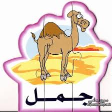 pin on arabic worksheets