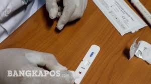 Pahami Bedanya Rapid Test Dan Pcr Covid 19 Serta Istillah Reaktif Nonreaktif Positif Dan Negatif Bangka Pos