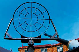 A display of epiphytes, organisms that grow on the surface of other plants and derive their moisture and nutrients from the air, rain, or from debris accumulating around them. Bofors 40 Mm Gun Wikiwand