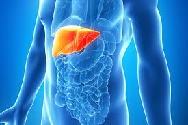 We did not find results for: Liver Function Failure Disease Live Science