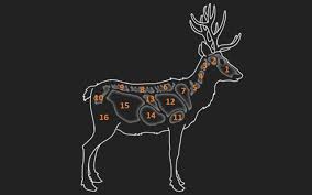 скачать игру The Hunter Call Of The Wild бесплатно The Hunter Call Of The Wild Where To Shoot Call Of The Wild Hunter Wild