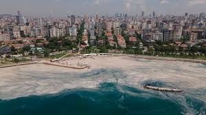 A thick, brown, bubbly foam dubbed sea snot has covered the shores of the sea of marmara, alarming residents in istanbul and threatening marine life. Kw1vi1tk1yfxzm