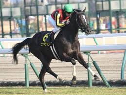 Jun 17, 2021 · ★エプソムc5着アトミックフォース（美・武藤、牡5）は関屋記念（8月15日、新潟、giii、芝1600メートル）を目標に調整。 Cfqx4helnkxg M