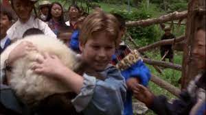 The pandas will overcome all kinds of hardships and dangers themselves, use the wonderful organ to reach transfer door. The Amazing Panda Adventure 1995 A Celebration Hd Youtube