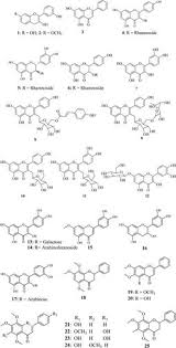 Image result for Monanthotaxis buchananii