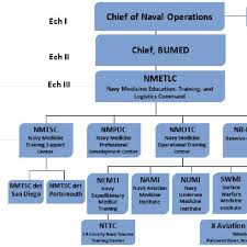 Nmetlc Organization Chart Download Scientific Diagram