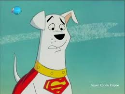 Super Kopek Krypto Kripto Fistik Gezegeni Izlesene Com