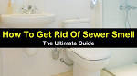 Why is There a Sewer Odor in My Bathroom? Ben Franklin Bay Area