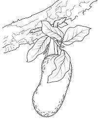 November 26th, 2020 09:07:36 amjackfruitadmin. Pin On Coloring Pages For Kids