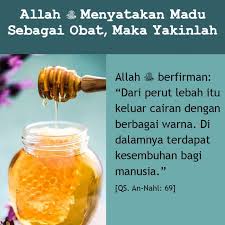 Bertani bersama poc pak haji. Khasiat Madu Lebah