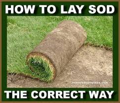 Easiest Way To Prepare Lay And Plant Sod In Your Yard Grass Patch Sod Installation How To Lay Sod