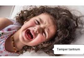 What is the difference between Tantrums & Meltdowns?