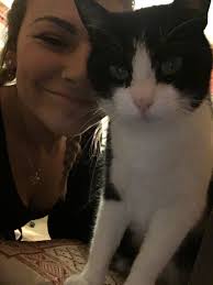 Missing cat now found