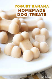 Be sure to check with your vet about ingredients. Yogurt Banana Dog Treats Recipe Belly Full