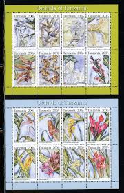 Image result for Centrostigma occultans