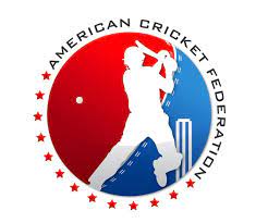 Cricket Logo American Cricket Logo Design Inspiration