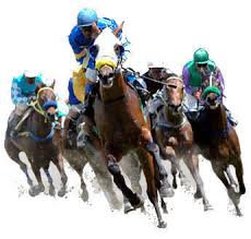 R&eacute;sultat de recherche d'images pour "image des chevaux de courses"
