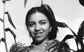 Resultados Concurso fotográfico