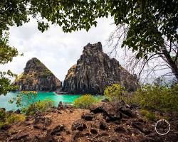 Imagem de Molduras naturais na fotografia de arquitetura