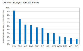 just 12 firms make up half of australias stock market