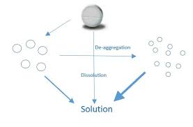 the role of dissolution in drug development