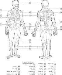 Allwyn joshua, lathika shetty, vidyashambhava pare. 3 Anatomy Biochemistry And Physiology Pocket Dentistry