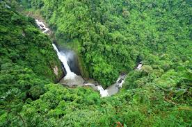 Khao yai national park (thai เขาใหญ่) is a national park in thailand. Khao Yai National Park