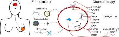 Groaning, grimacing, or appearing restless could be signs that a. Investigational Chemotherapy And Novel Pharmacokinetic Mechanisms For The Treatment Of Breast Cancer Brain Metastases Sciencedirect