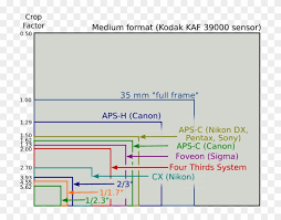 Canon Nikon Sony Pentax Panasonic Sensor Size Comparison