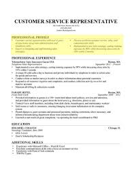 Professional Profile Bullet Form1 Jpg 800 1067 Resume Profile Resume Profile Examples Professional Profile Resume