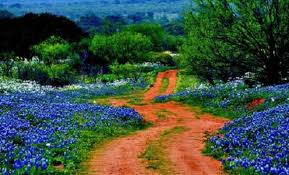 Check out our top reasons to visit hill country, texas, right here, from wineries to waterfalls and much more. 10 Most Beautiful Places In Texas Video Goes Viral For Country Living