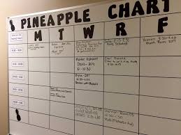 How Pineapple Charts Revolutionize Professional Development