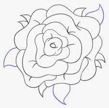 Enamorados 17 Simple Rose Png Draw The Rose Very Simple Free Transparent Clipart Clipartkey 51:01 rapidfireart recommended for you. enamorados 17 simple rose png draw