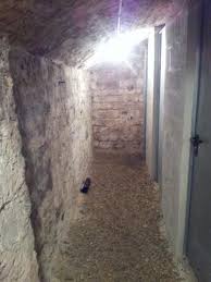 Maybe you would like to learn more about one of these? Les Sols De Caves Et Leurs Avantages