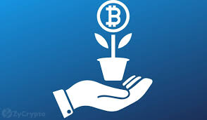The core purpose of cryptocurrencies is relatively simple. Crypto Investment A Major Priority For Nearly Half Of Stimulus Recipients Zycrypto